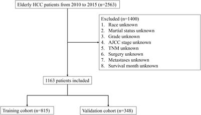 Prognostic factors and predictive nomogram models for early death in elderly patients with hepatocellular carcinoma: a population-based study